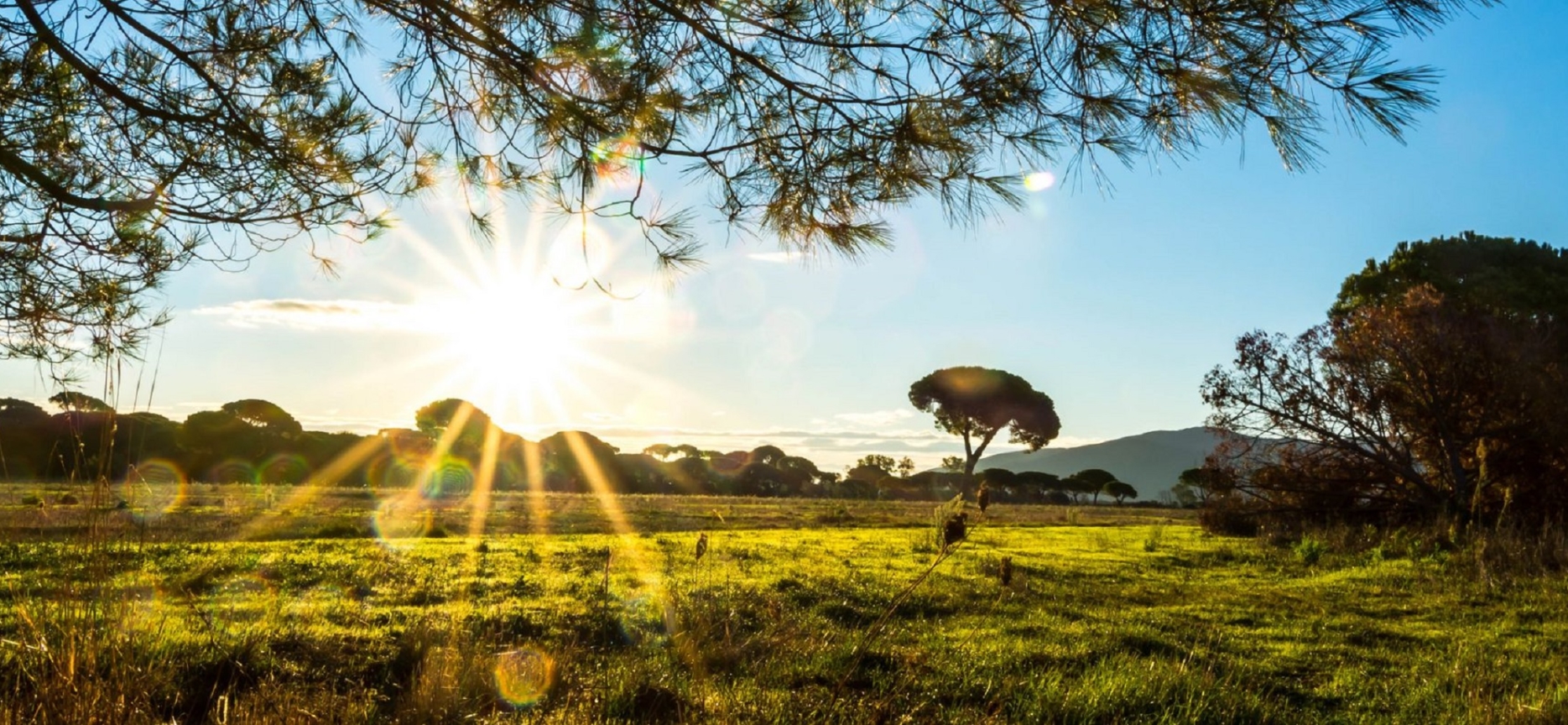 The Tuscan Maremma
