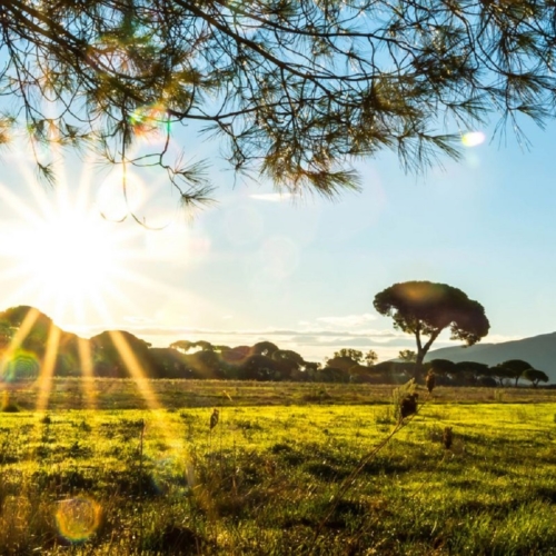 The Tuscan Maremma